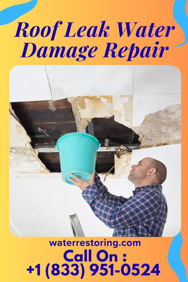 Roof Leak Water Damage Repair in Channing, TX